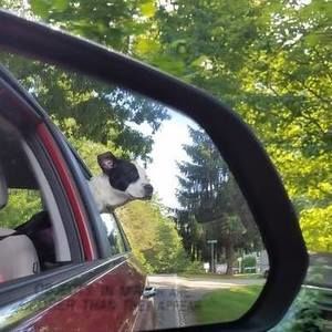 Meet your Posher, Kathie